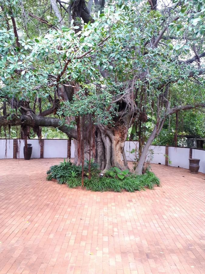 Bush Lovers Lodge Modimolle Exteriér fotografie